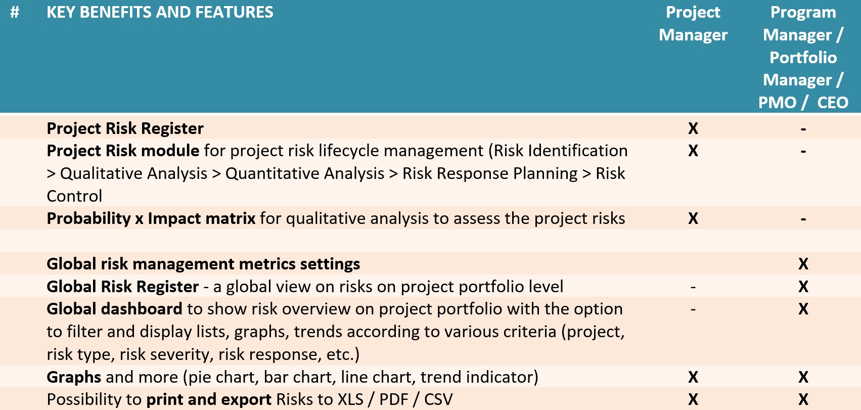 Risk Management Easy Project